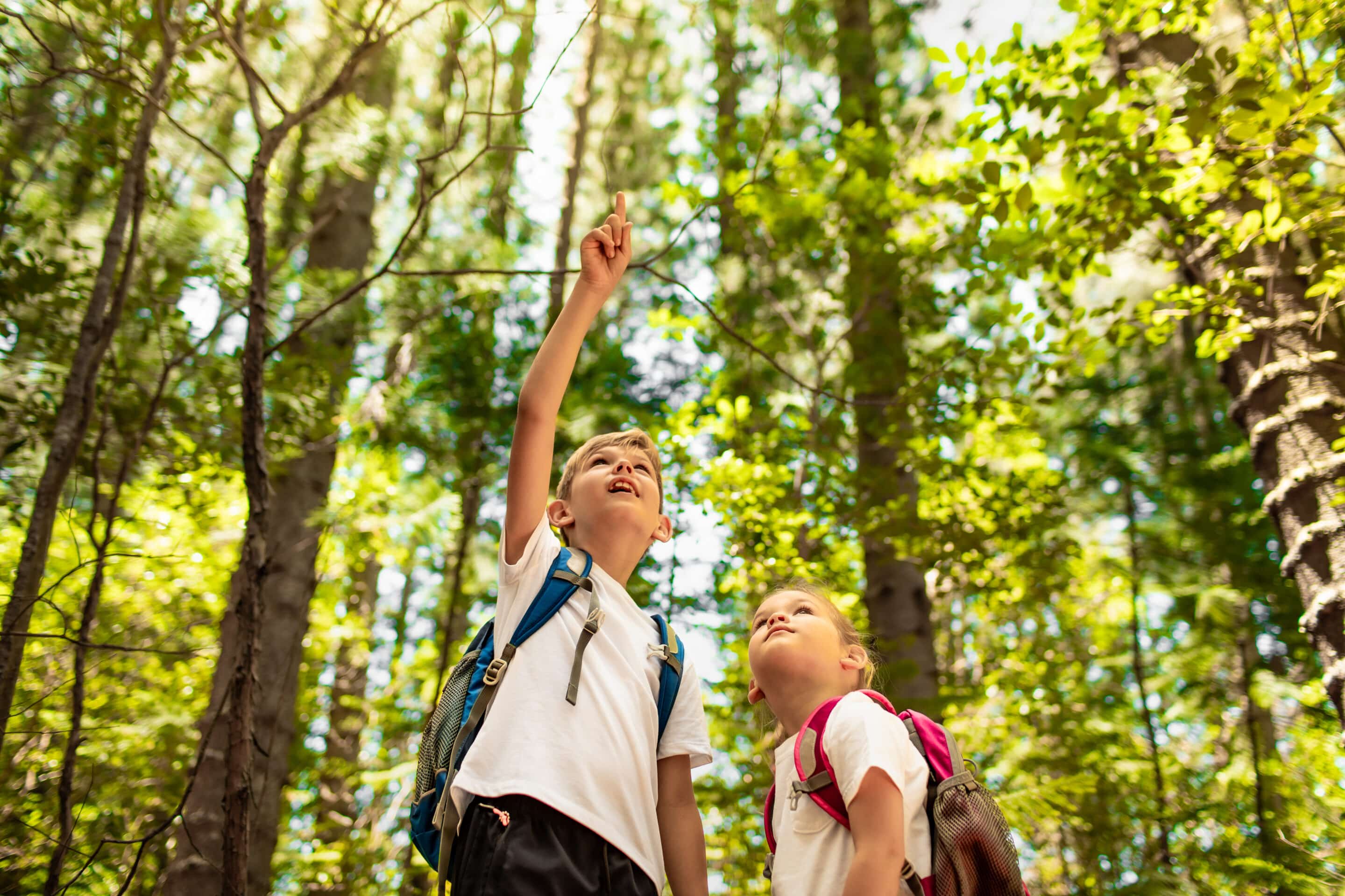 Children exploring nature Children exploring nature