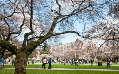 College Towns in New Jersey: Where Campus Culture Meets Suburban Vibe