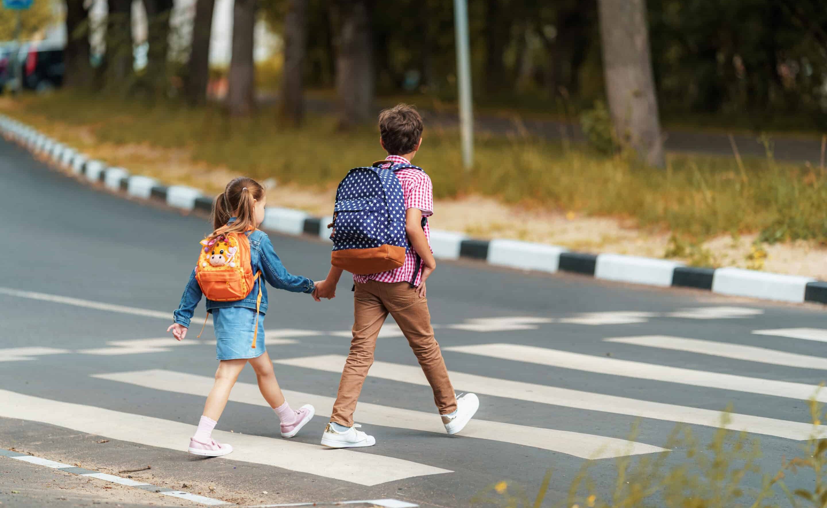 Brother and sister walk to school Brother and sister walk to school