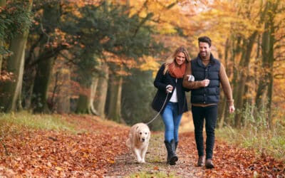 How to Tackle Fall Market Like a Pro