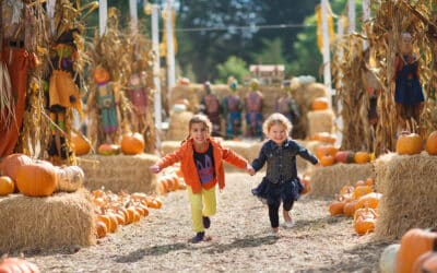 Fall Festivals: The Perfect Way to Explore Westchester County