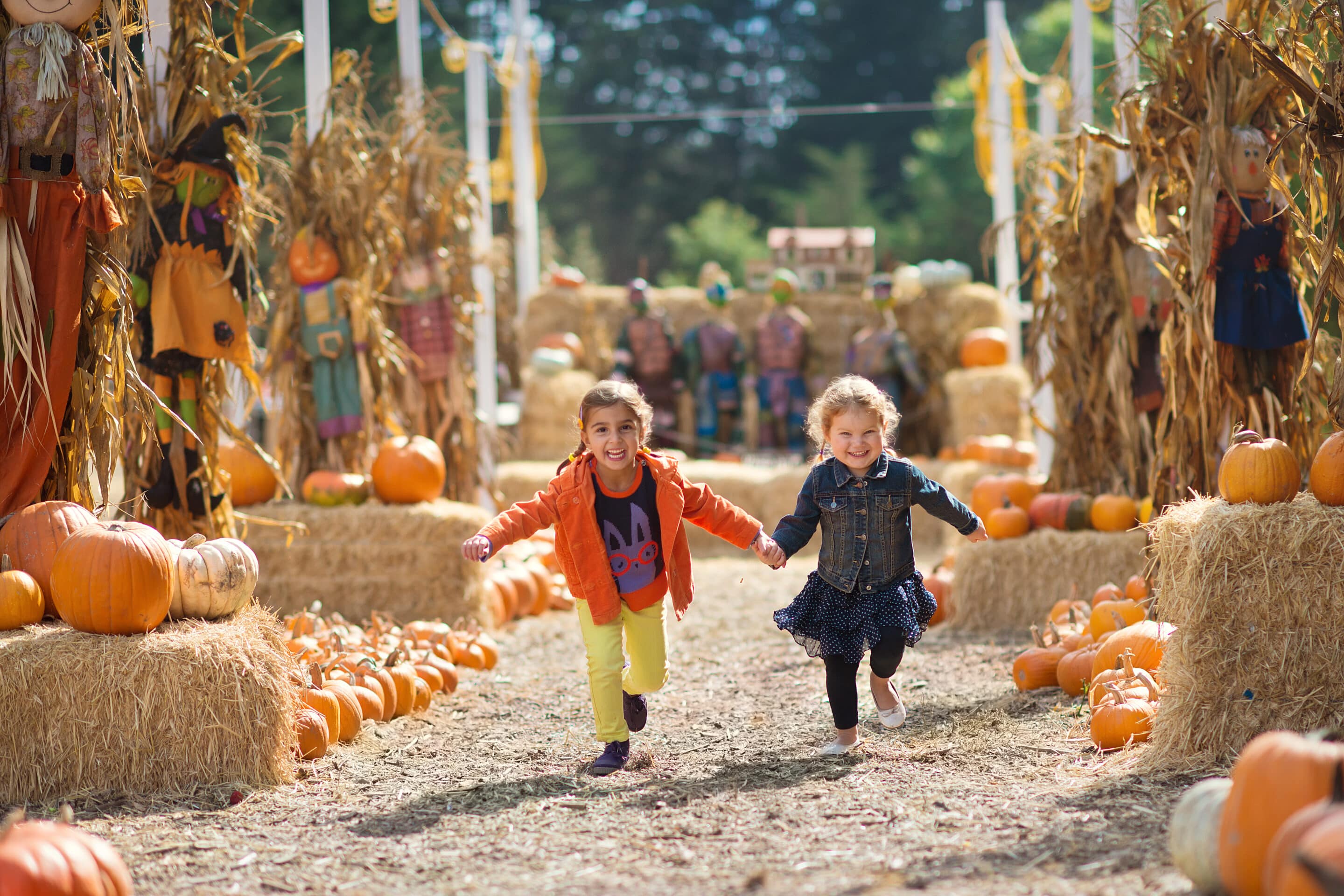 Little girls having fun at a fall festival