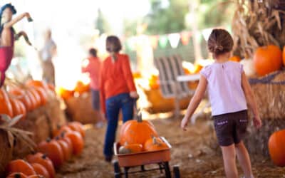 Spend the Day at the Best Long Island Pumpkin Patches