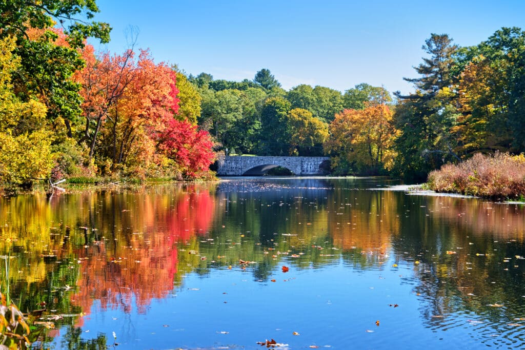 Fall foliage reflecting on the water at the Charles River Peninsula in Needham, Massachusetts