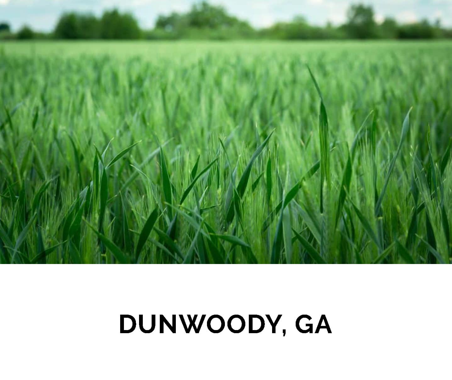 6. DUNWOODY, GA_1.1
