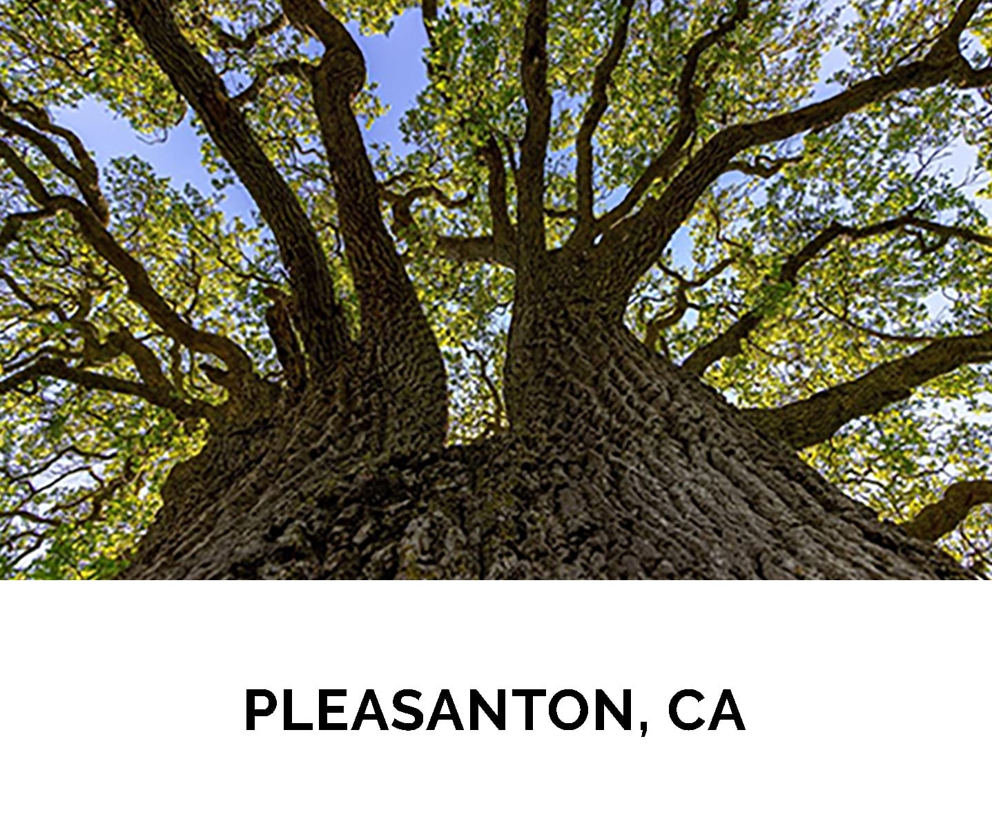 9. PLEASANTON, CA_1