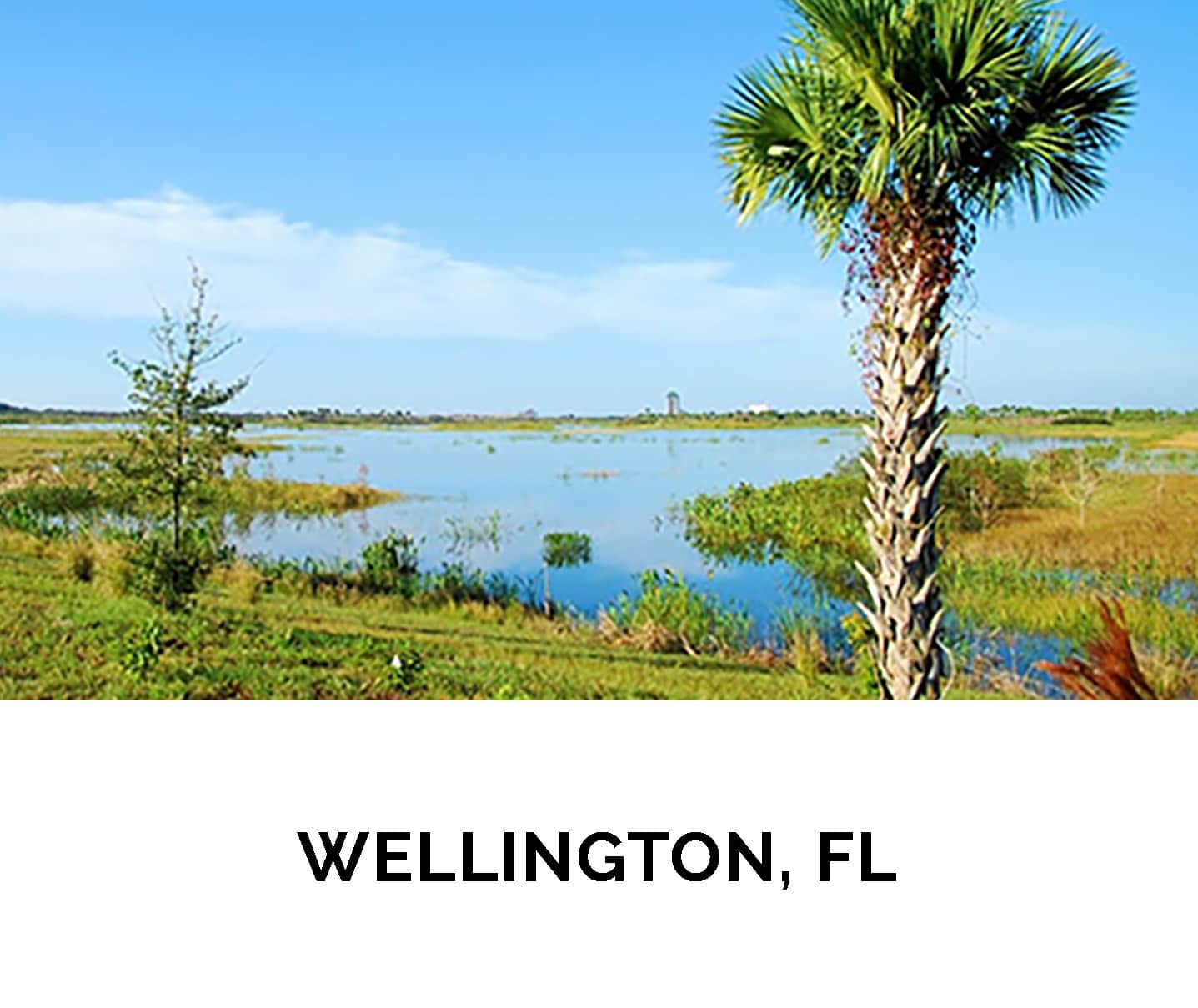 9. WELLINGTON, FL_1